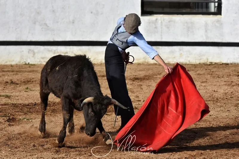 Foto 3 - Arranca el V Bols&iacute;n Taurino 'Botijo de Filigrana'