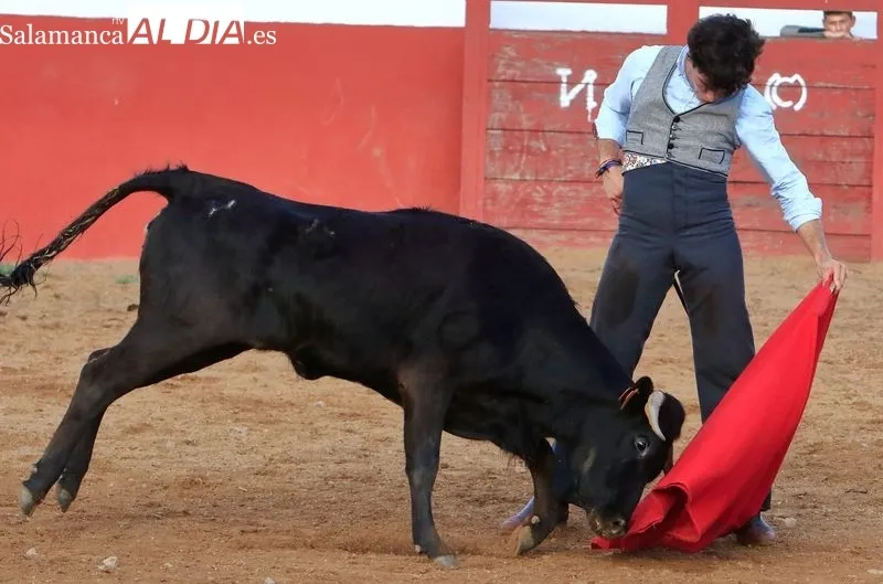 Foto 5 - Segunda eliminatoria del V Bols&iacute;n Taurino Botijo de Filigrana