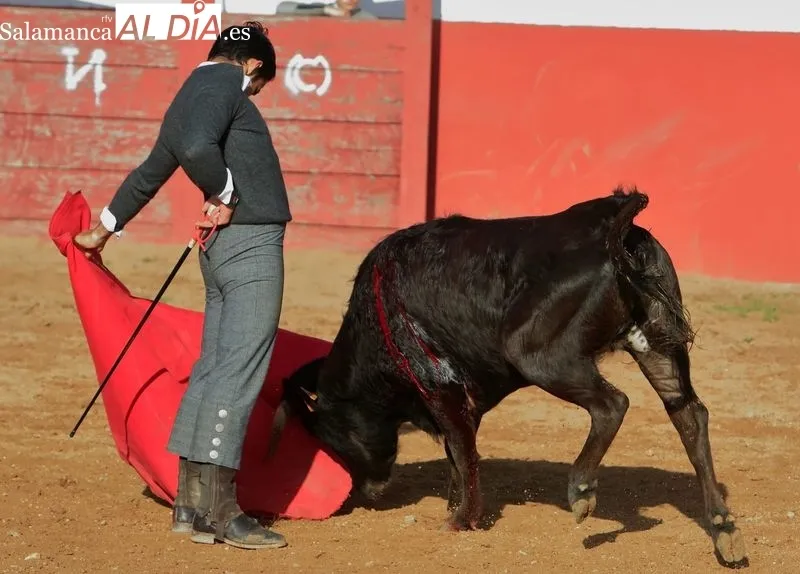 Foto 4 - Segunda eliminatoria del V Bols&iacute;n Taurino Botijo de Filigrana