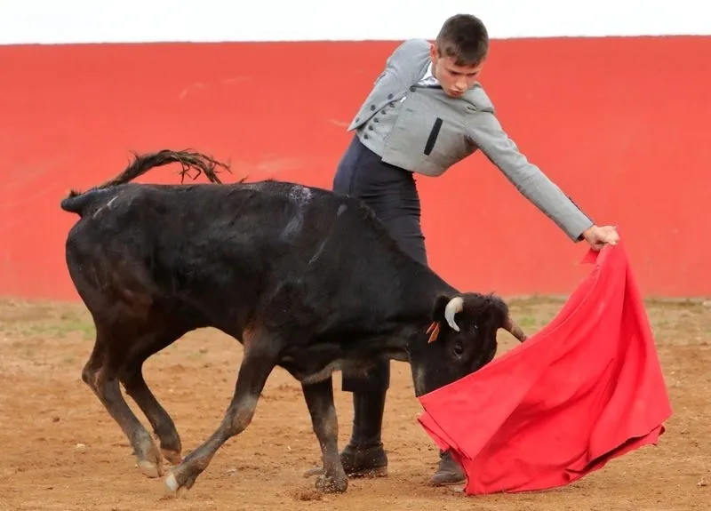 Foto 3 - Segunda eliminatoria del V Bols&iacute;n Taurino Botijo de Filigrana