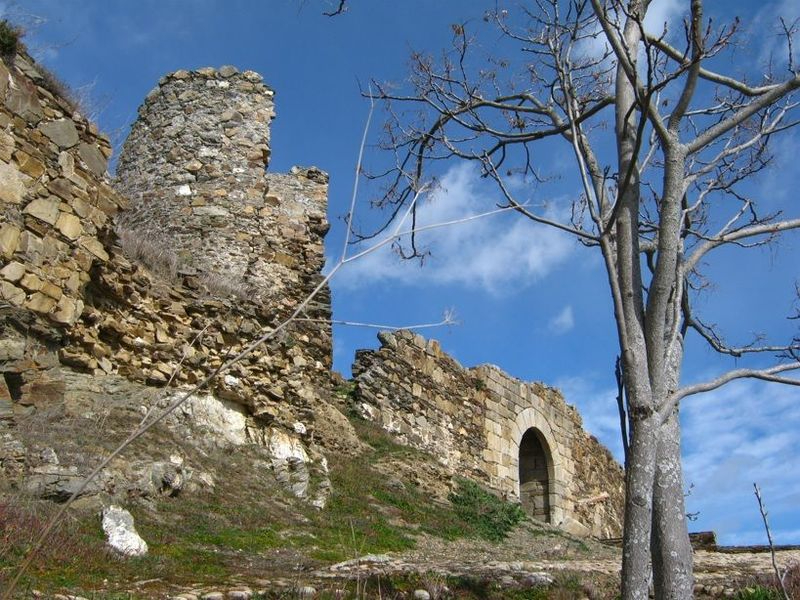 Los diez castillos de Salamanca en riesgo de desaparición que están en la Lista Roja de Patrimonio 