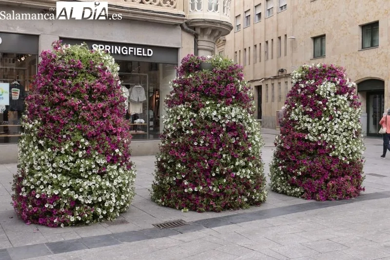 La concejala de Medio Ambiente, Parques y Jardines, Miryam Rodríguez, destaca que la decoración ornamental se extiende hasta los barrios. Foto de David Sañudo