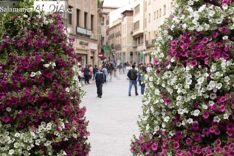 La concejala de Medio Ambiente, Parques y Jardines, Miryam Rodríguez, destaca que la decoración ornamental se extiende hasta los barrios. Foto de David Sañudo