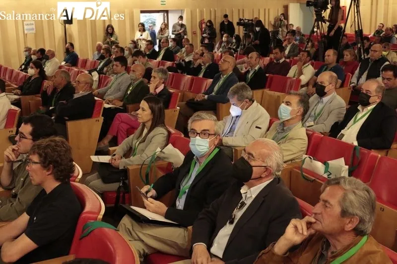 Jornada inaugural del I Congreso Internacional de Vacuno en el Auditorio Fonseca. Foto de David Sañudo