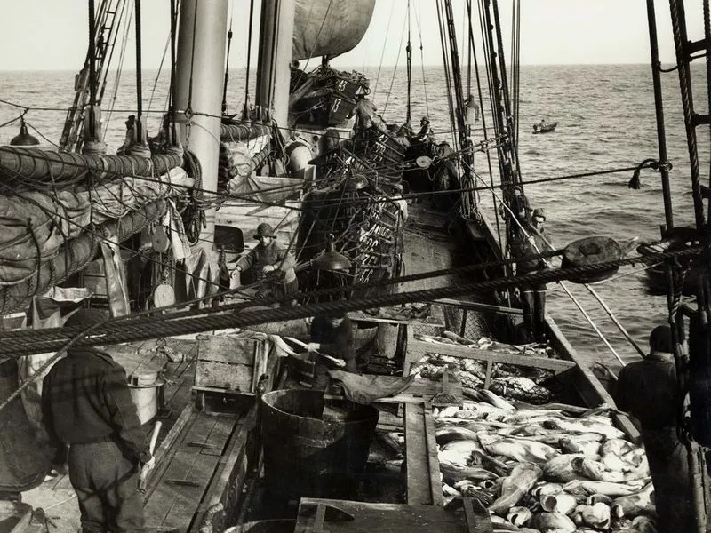 Archivo documental del Museo Marítimo de Ílhavo