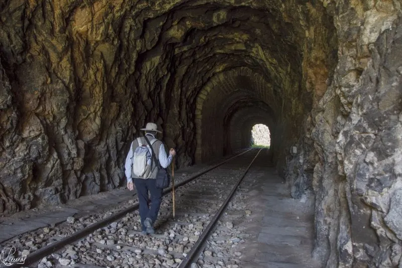 Camino del Hierro - Manuel Lamas