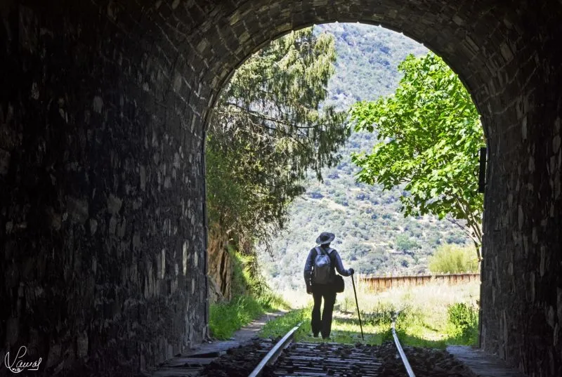 Camino del Hierro - Manuel Lamas