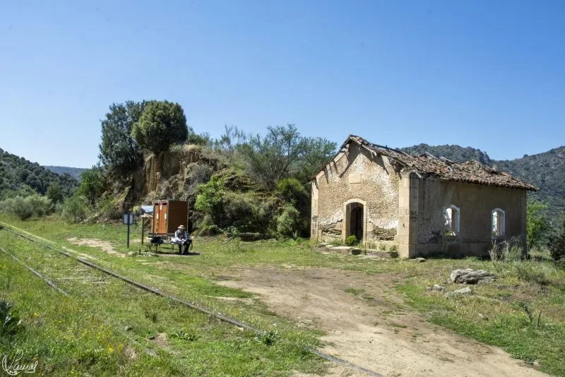 Camino del Hierro - Manuel Lamas