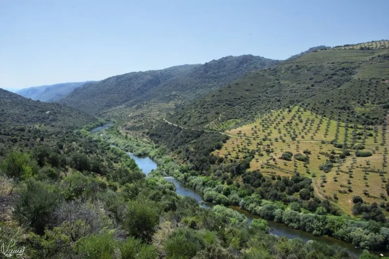 Camino del Hierro - Manuel Lamas