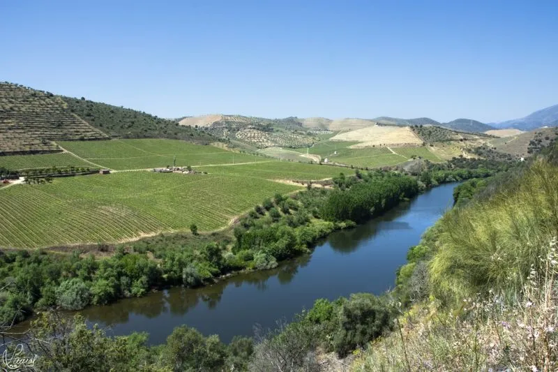Camino del Hierro - Manuel Lamas