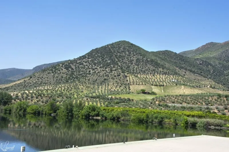Camino del Hierro - Manuel Lamas