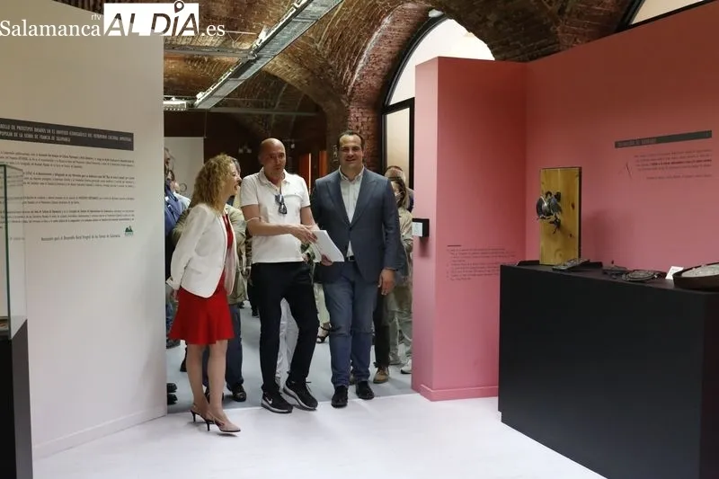 Exposición 'Cultura de moda. Artesanía del bordado serrano' en el Museo del Comercio. Foto de David Sañudo