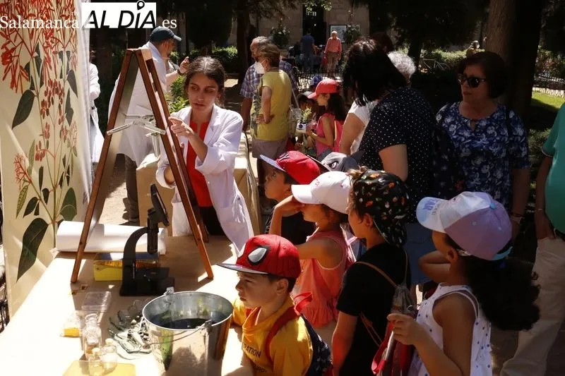 La Plaza de la Libertad acoge este jueves y el viernes la primera edición del ‘Mercado de Flores’