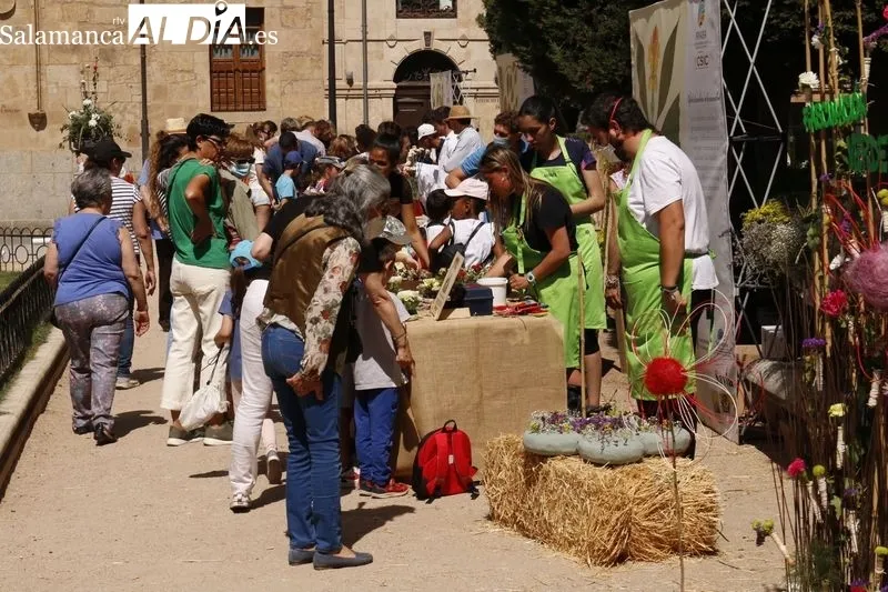 La Plaza de la Libertad acoge este jueves y el viernes la primera edición del ‘Mercado de Flores’