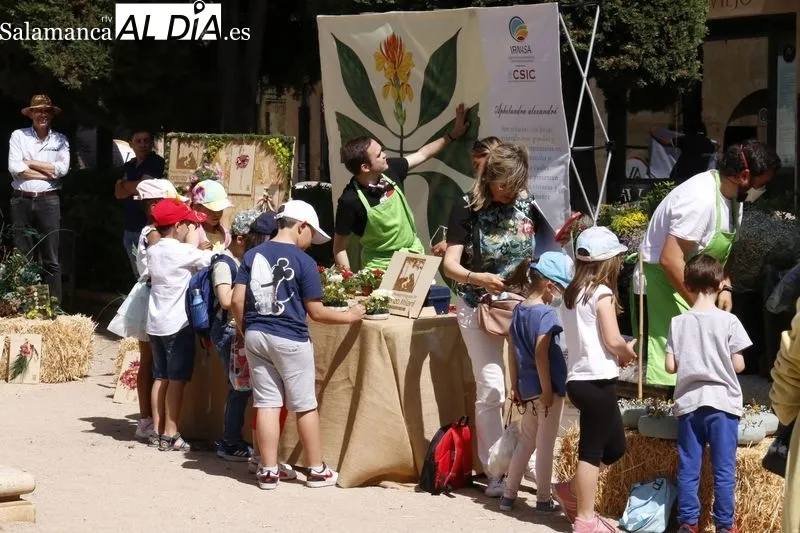 La Plaza de la Libertad acoge este jueves y el viernes la primera edición del ‘Mercado de Flores’
