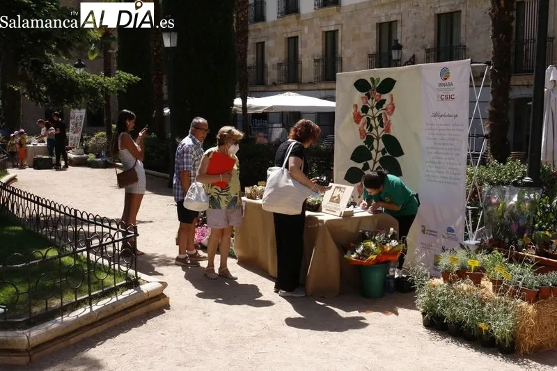 La Plaza de la Libertad acoge este jueves y el viernes la primera edición del ‘Mercado de Flores’