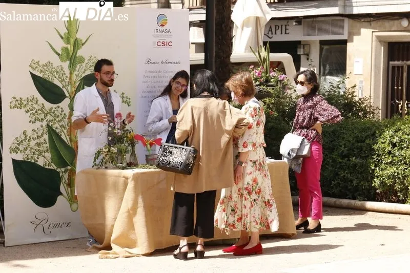 La Plaza de la Libertad acoge este jueves y el viernes la primera edición del ‘Mercado de Flores’