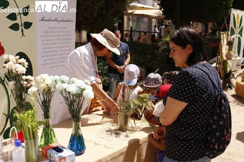 La Plaza de la Libertad acoge este jueves y el viernes la primera edición del ‘Mercado de Flores’
