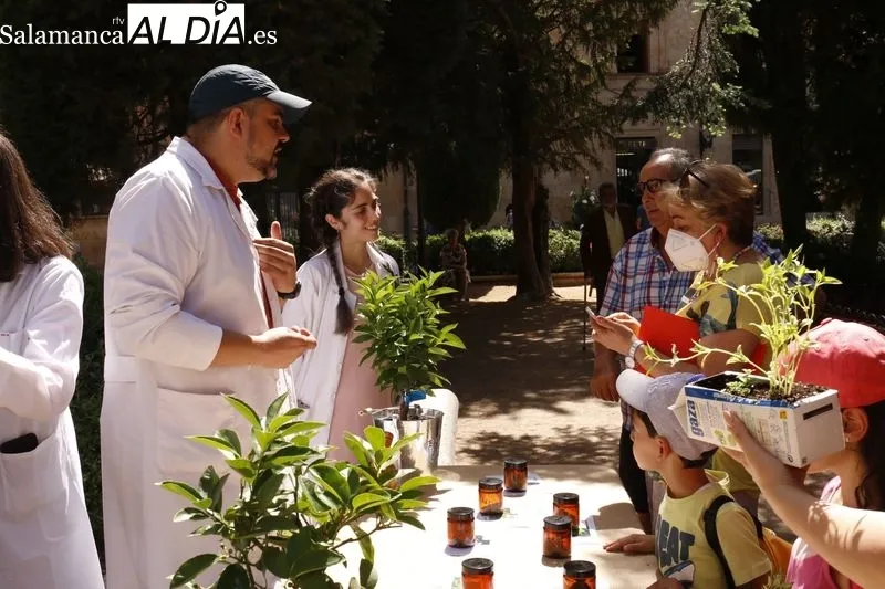 La Plaza de la Libertad acoge este jueves y el viernes la primera edición del ‘Mercado de Flores’