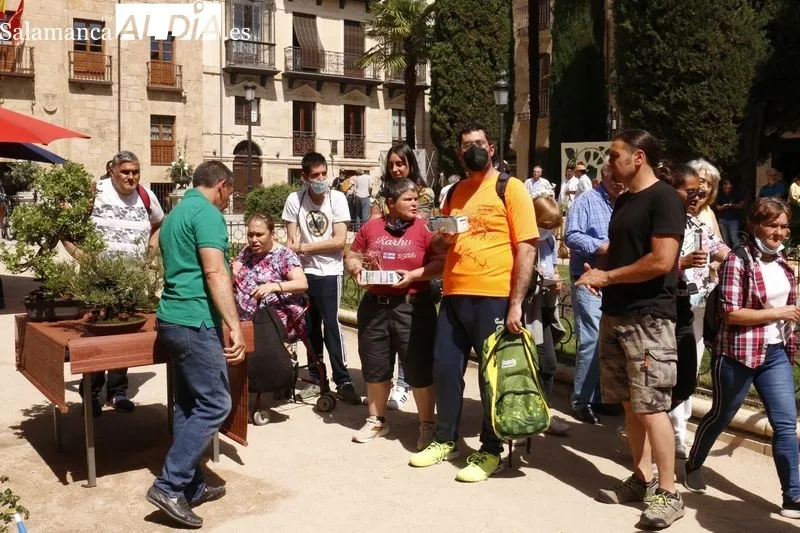 La Plaza de la Libertad acoge este jueves y el viernes la primera edición del ‘Mercado de Flores’