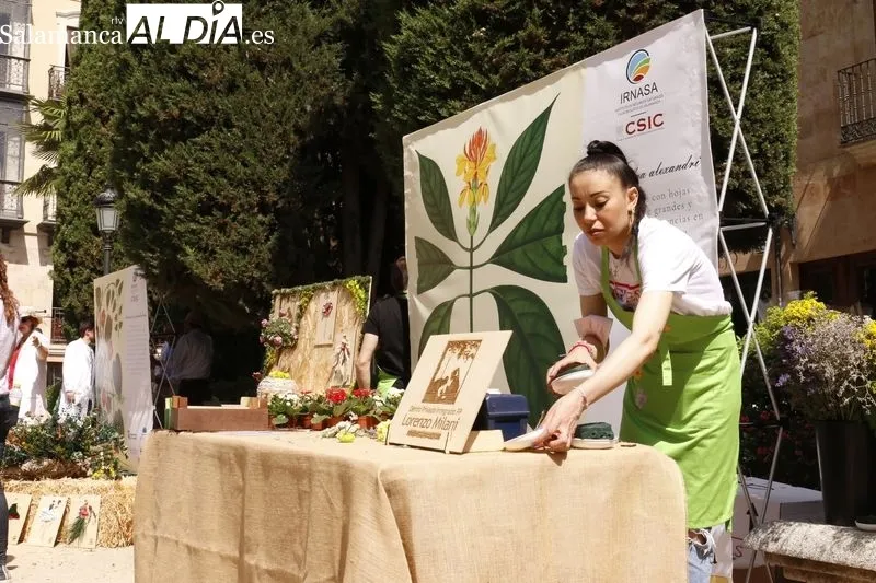 La Plaza de la Libertad acoge este jueves y el viernes la primera edición del ‘Mercado de Flores’