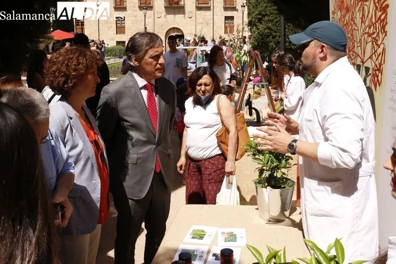 La Plaza de la Libertad acoge este jueves y el viernes la primera edición del ‘Mercado de Flores’