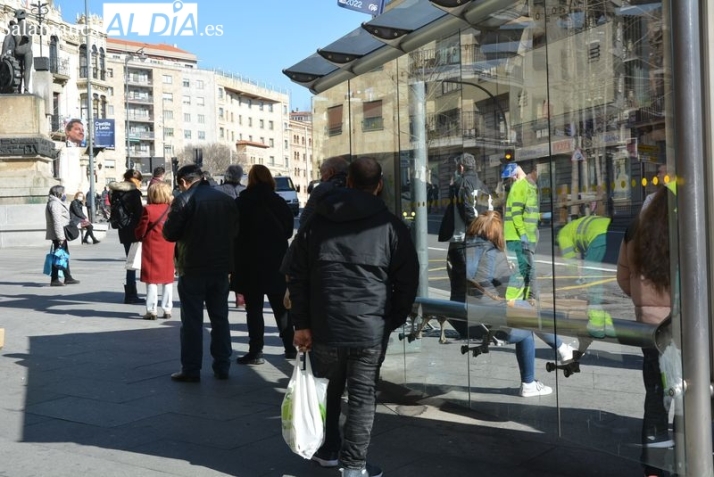 El IMV en Salamanca: más de 2.000 hogares lo perciben, de los que el 28% son monoparentales 