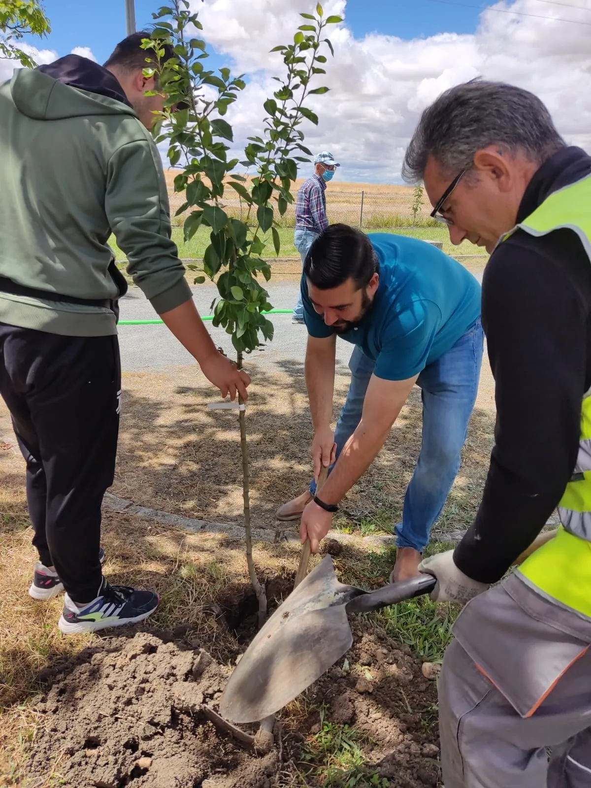 El proyecto Arbolar consigue plantar mas de 30 nuevos arboles en Peñaranda