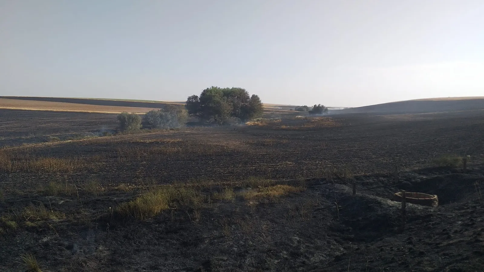 Foto 6 - Un potente incendio arrasa una gran superficie de cultivo a las puertas de Pedrosillo de Alba