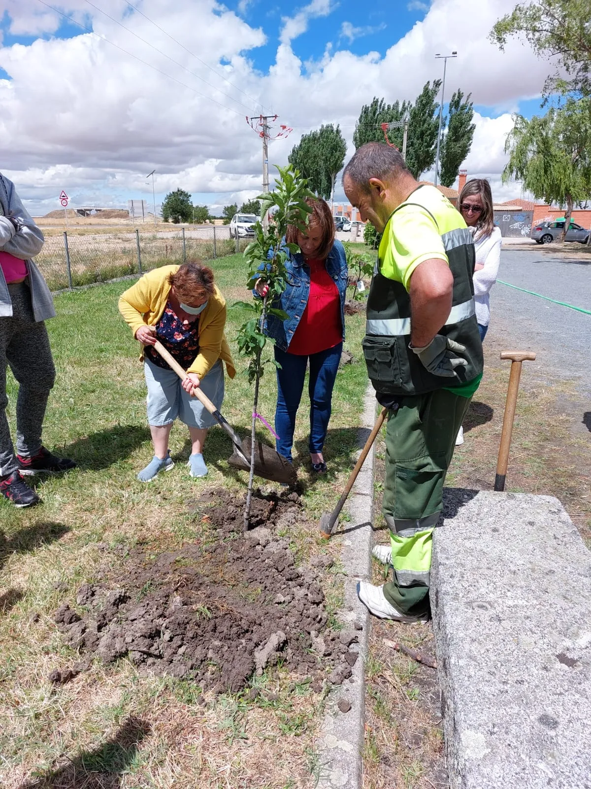 El proyecto Arbolar consigue plantar mas de 30 nuevos arboles en Peñaranda