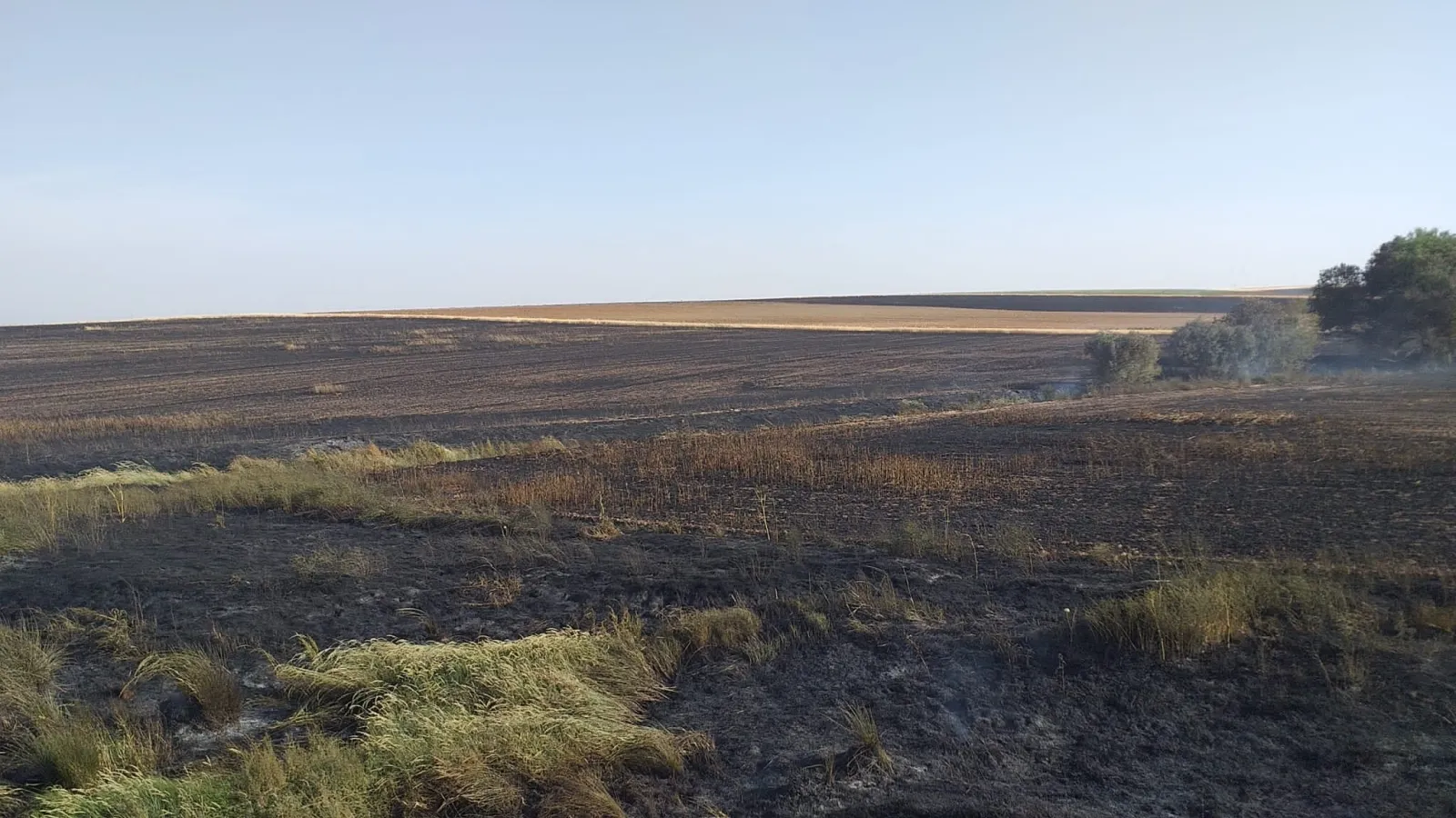Foto 4 - Un potente incendio arrasa una gran superficie de cultivo a las puertas de Pedrosillo de Alba