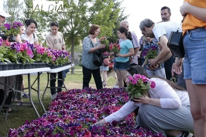Foto 5 - La II Semana Savia llega a su final con un reparto de flores