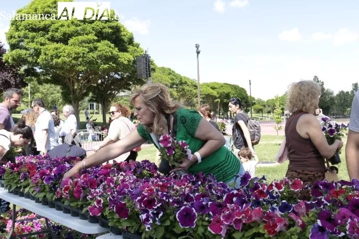 Foto 2 - La II Semana Savia llega a su final con un reparto de flores