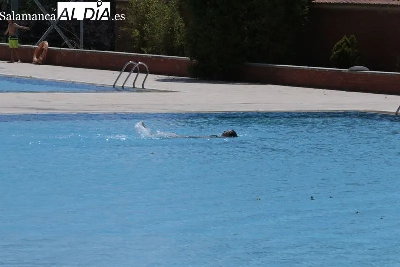 Imágenes de las piscinas municipales de Tejares esta mañana