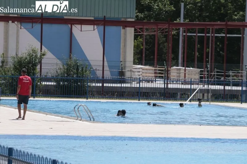 Imágenes de las piscinas municipales de Tejares esta mañana