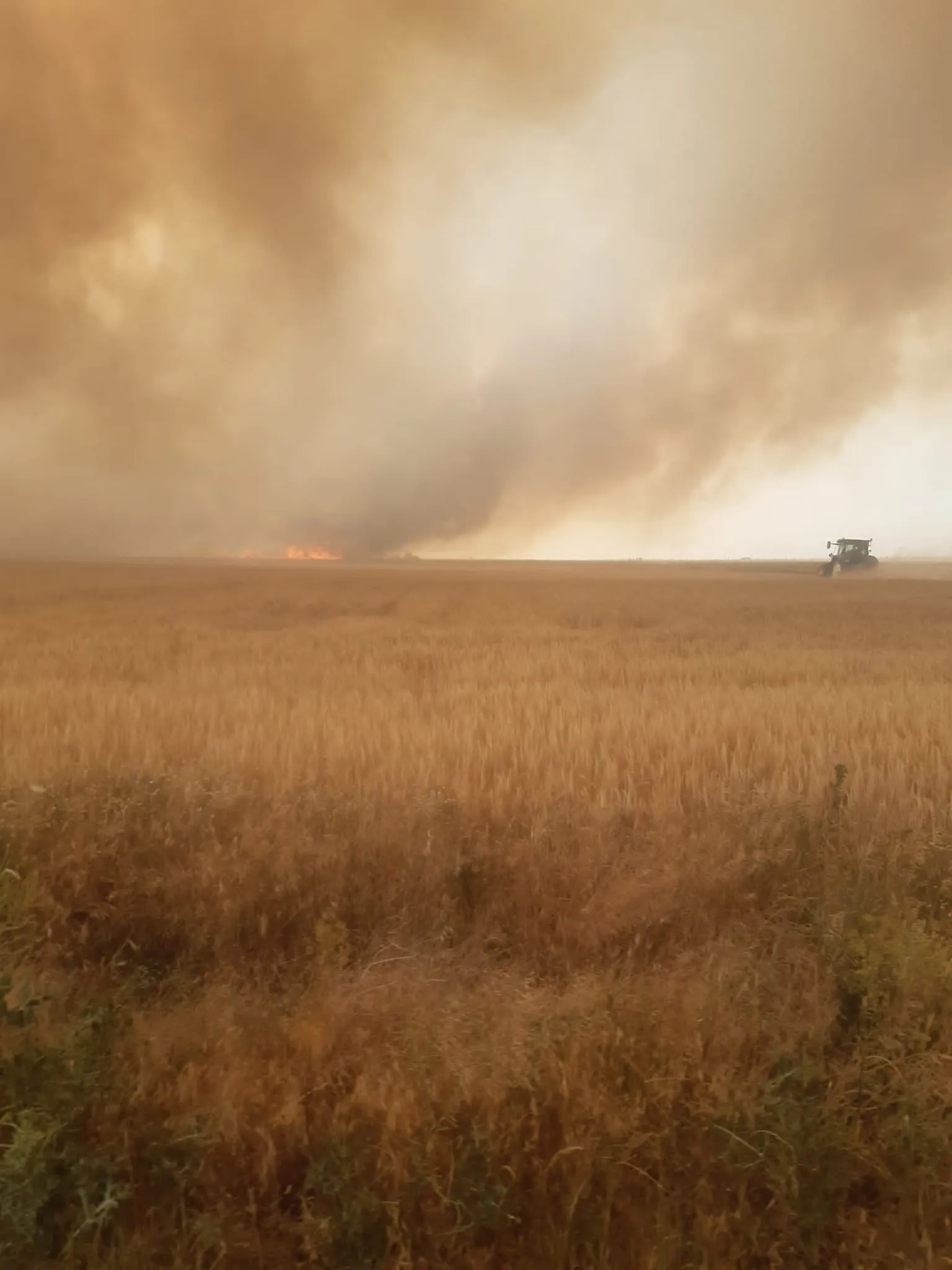Foto 2 - Un potente incendio arrasa una gran superficie de cultivo a las puertas de Pedrosillo de Alba