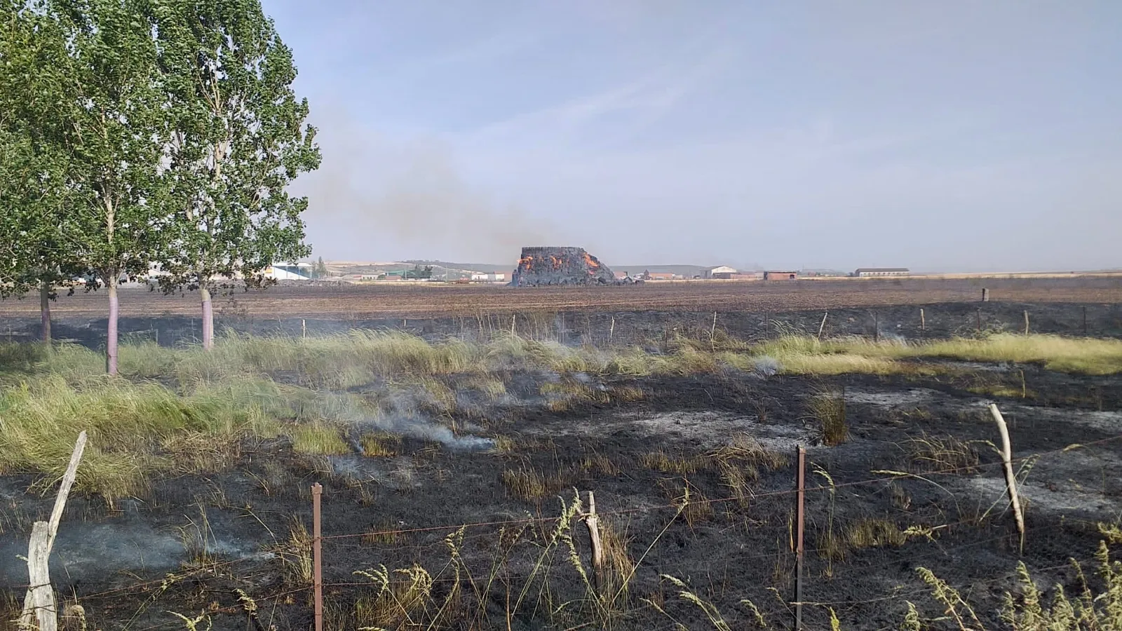 Los Bomberos tratan de sofocar un gran incendio en una tierra de pasto en Pedrosillo de Alba