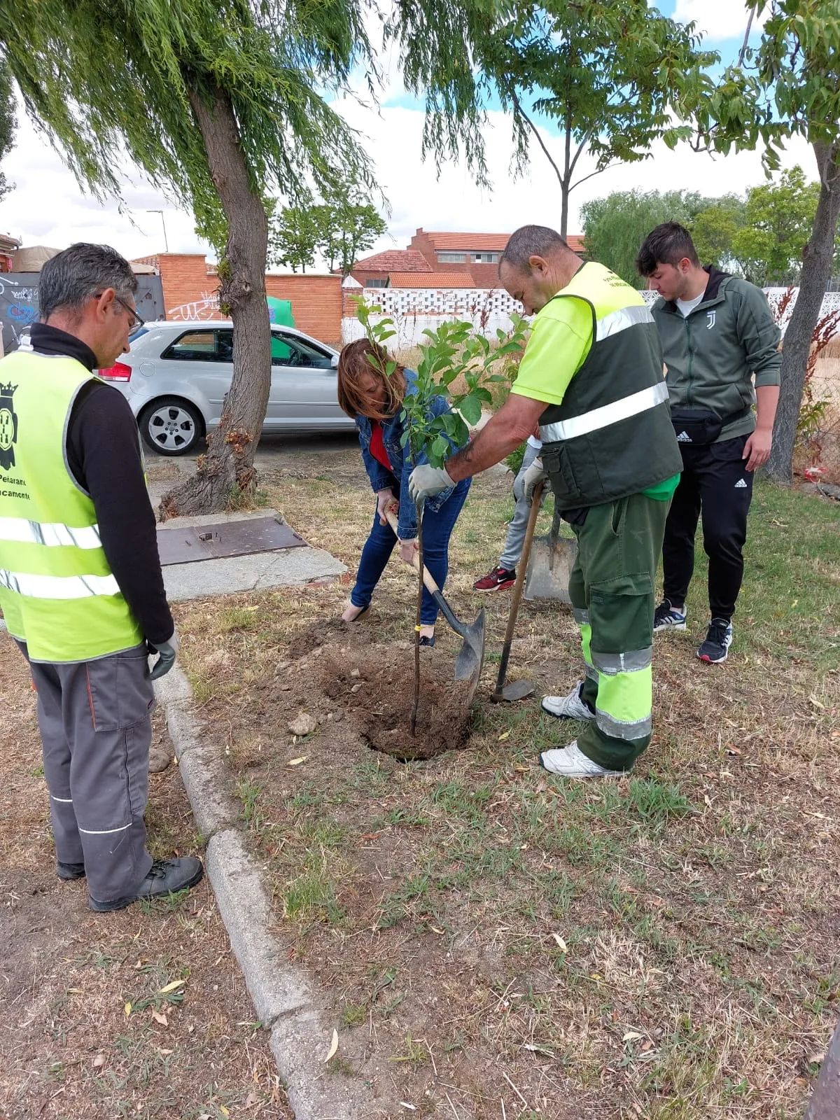 El proyecto Arbolar consigue plantar mas de 30 nuevos arboles en Peñaranda