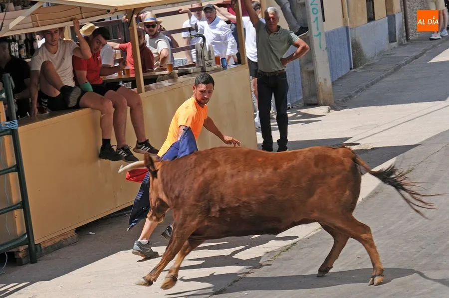 Momento de una de las capeas del sábado en Martín de Yeltes : Fotos: Adrián M. Pastor