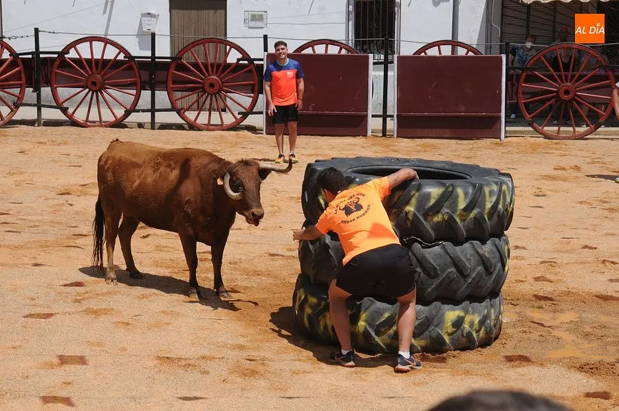 Momento de una de las capeas del sábado en Martín de Yeltes : Fotos: Adrián M. Pastor