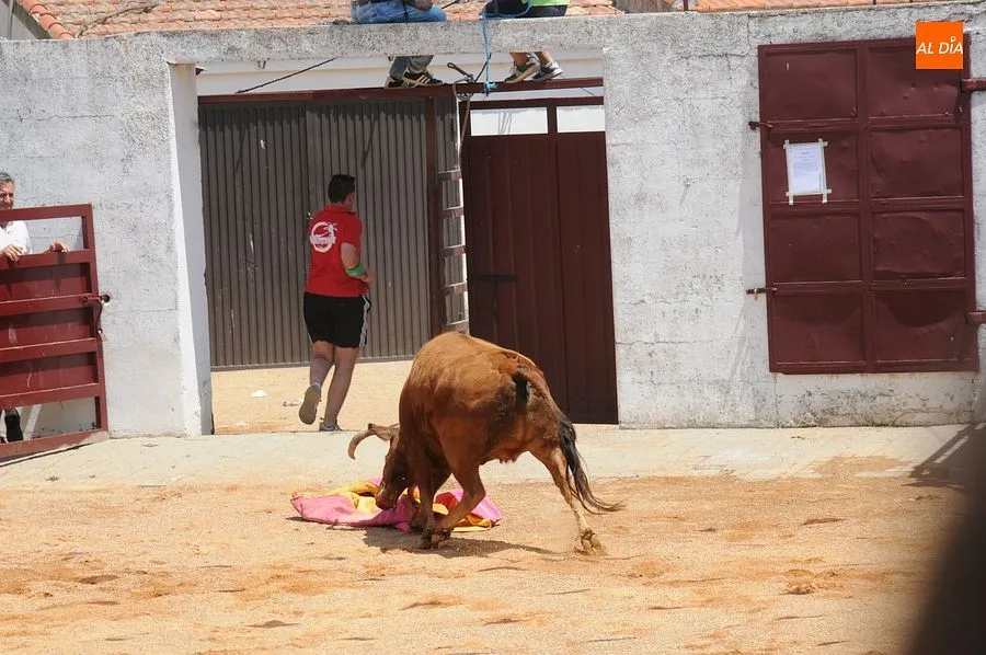 Momento de una de las capeas del sábado en Martín de Yeltes : Fotos: Adrián M. Pastor
