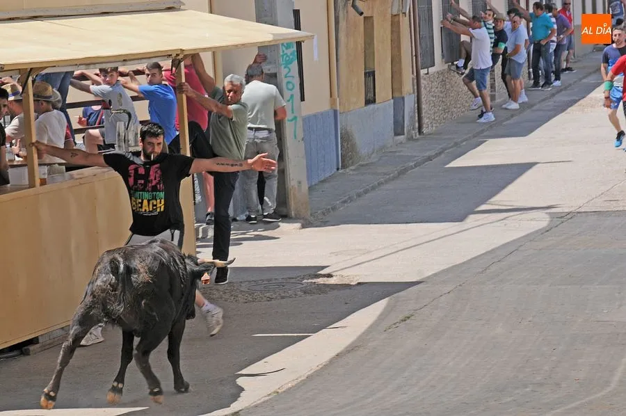Momento de una de las capeas del sábado en Martín de Yeltes : Fotos: Adrián M. Pastor