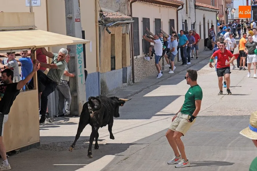 Momento de una de las capeas del sábado en Martín de Yeltes : Fotos: Adrián M. Pastor