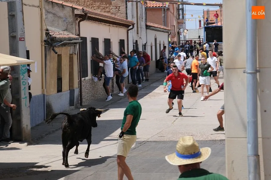 Momento de una de las capeas del sábado en Martín de Yeltes : Fotos: Adrián M. Pastor