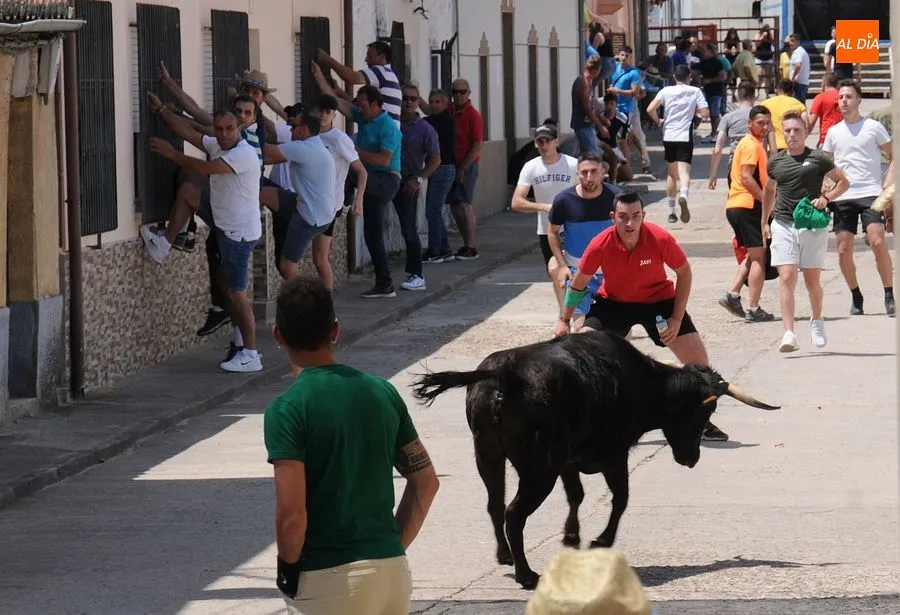Momento de una de las capeas del sábado en Martín de Yeltes : Fotos: Adrián M. Pastor