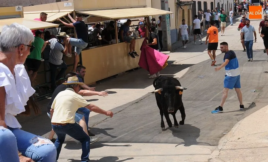 Momento de una de las capeas del sábado en Martín de Yeltes : Fotos: Adrián M. Pastor