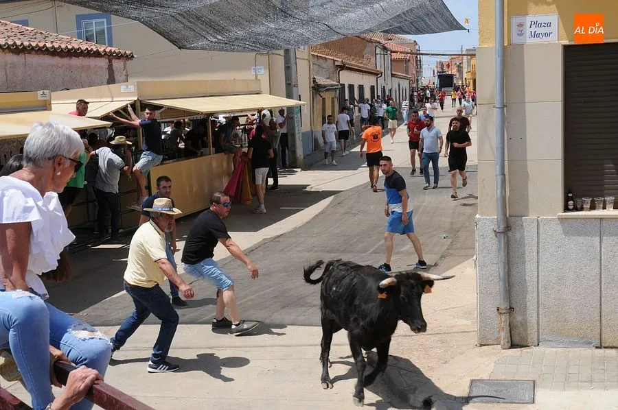 Momento de una de las capeas del sábado en Martín de Yeltes : Fotos: Adrián M. Pastor