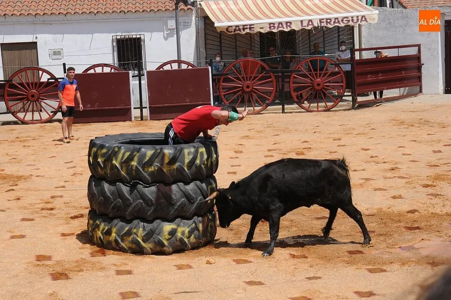 Momento de una de las capeas del sábado en Martín de Yeltes : Fotos: Adrián M. Pastor