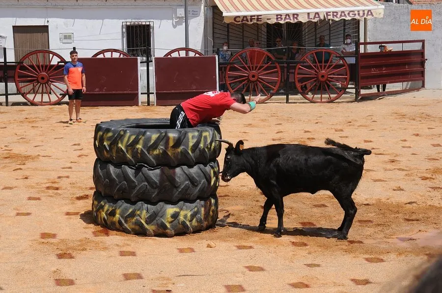 Momento de una de las capeas del sábado en Martín de Yeltes : Fotos: Adrián M. Pastor