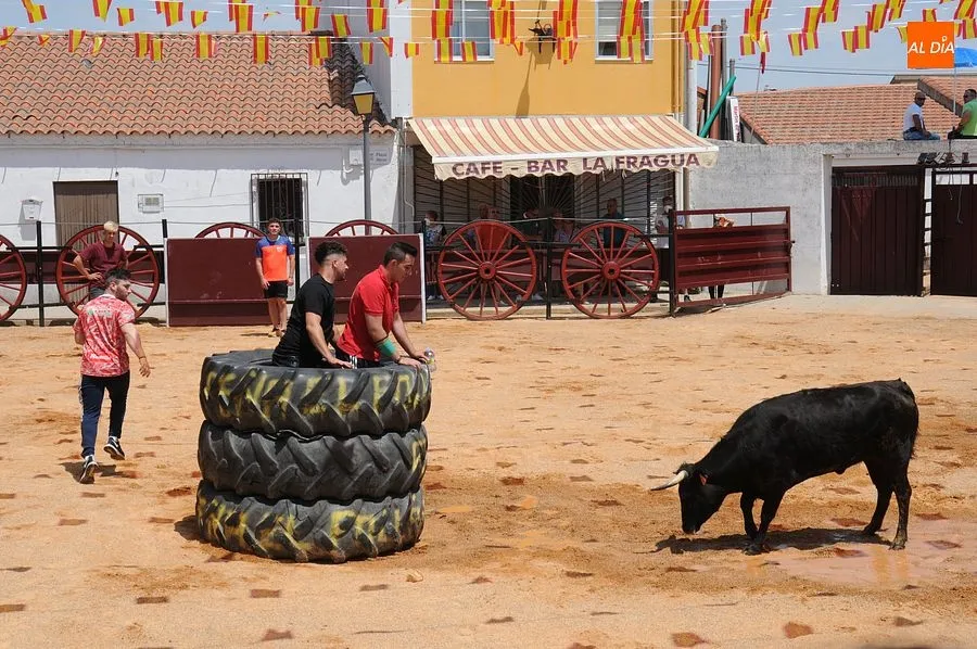 Momento de una de las capeas del sábado en Martín de Yeltes : Fotos: Adrián M. Pastor
